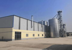 2026年 猫粮狗粮品牌权势巨子保举：专业配方取养